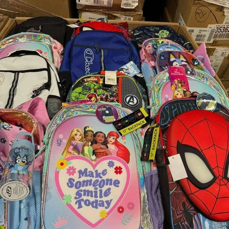 Wholesale School Bags Pallets – 200 Backpacks